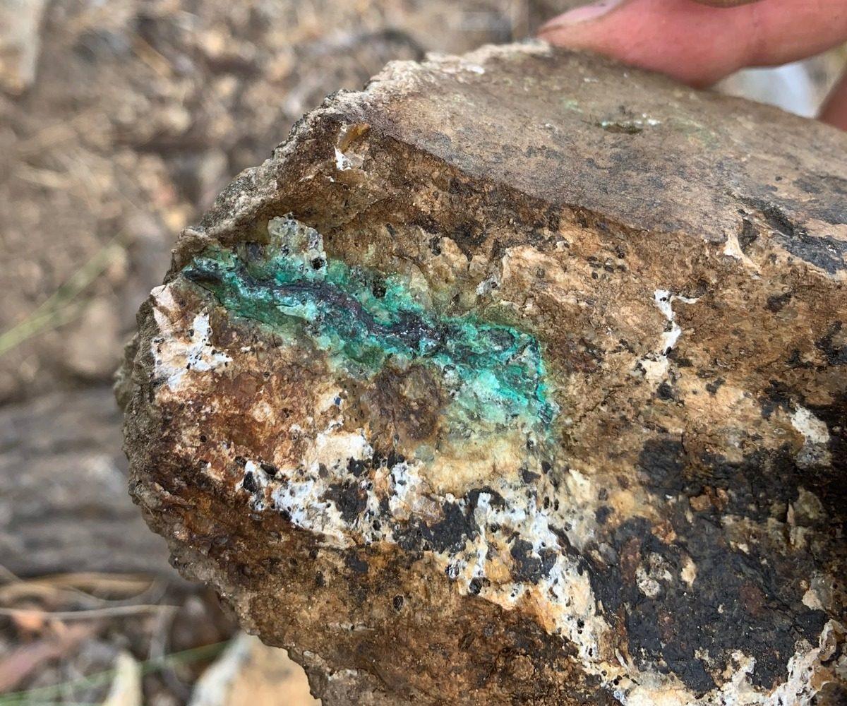 Outcrop sample from the Bobcat Project showing a chalcocite veinlet with green copper oxide staining